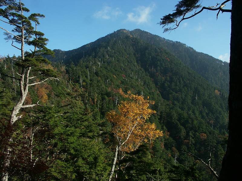 池口岳(2392m)山行